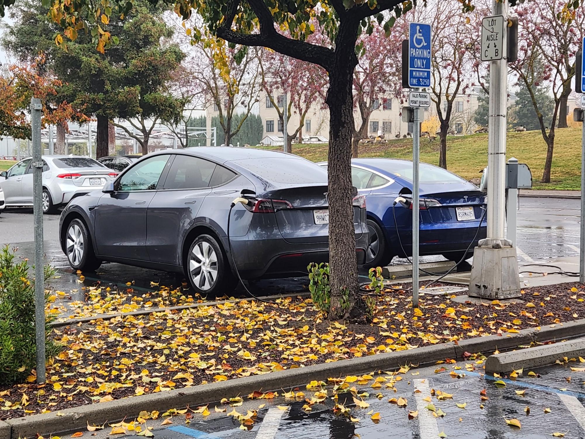 Two Telsa vehicles using the on-campus chargers on Dec 12, 2024.