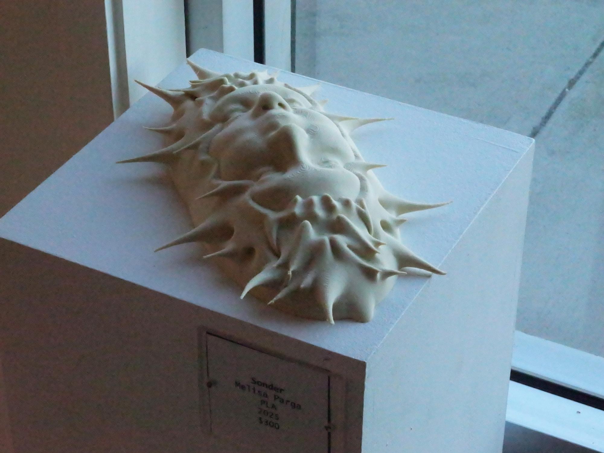 BFA graduates exhibit creative excellence at downtown Turlock art space