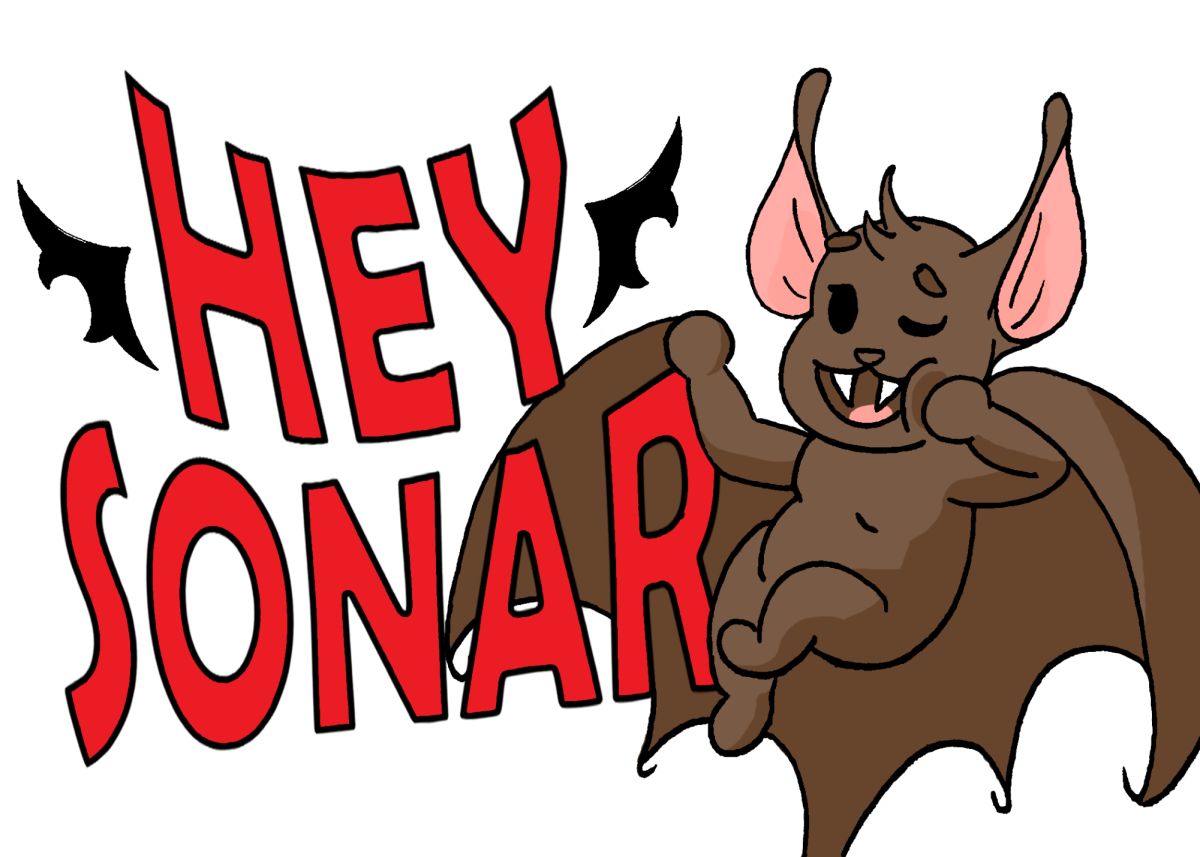 Hey Sonar: Advice for the Quacked and Confused