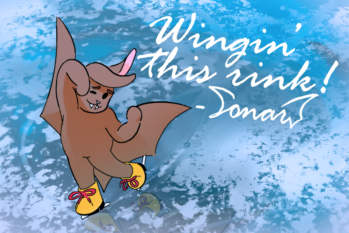 Sonar's postcard from last year's ice rink.