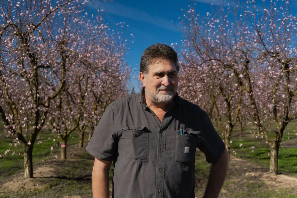 Escalon farmer Richard Lial stands in his blooming peach orchard, whose fruit had been destined for Modesto's Del Monte processing plant before the company announced the site will close this spring. Credit: Teisy Zavala-Cortez / The Modesto Focus / The Signal 