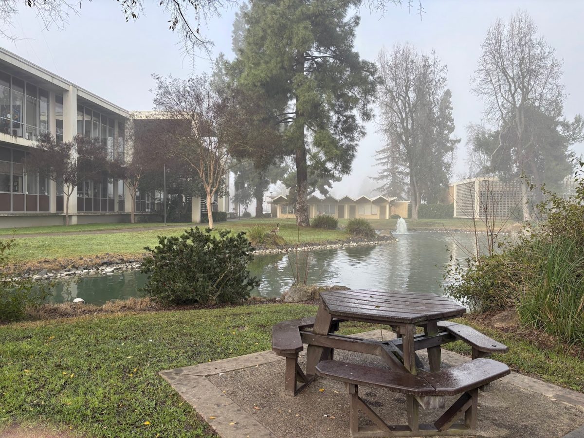 Serene photo of Village Lake’s study spot taken on Thursday, Feb. 5, 2026, in Turlock.