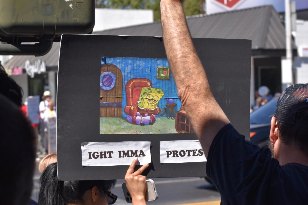Protestor holds up sign that reads, "Ight imma protest," on Saturday, March 28,  2026 at the No Kings Protest in Modesto.