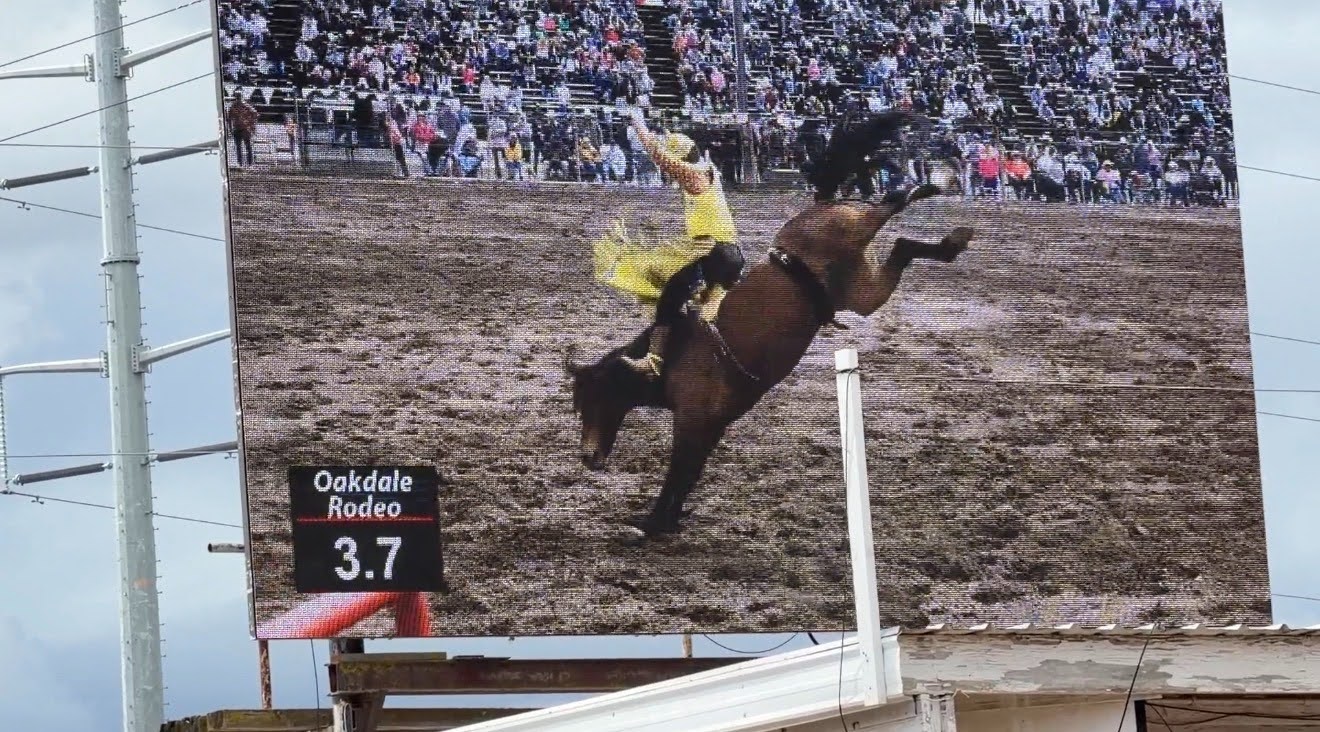 Oakdale Rodeo draws crowd across the Central Valley